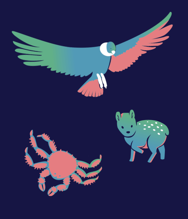 Blog - YOPPEN - Pattern de ilustraciones de Chile fauna chilena diseño chileno
